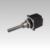 NEMA 24 (60mm) Hybrid Ball Screw Stepper Motor