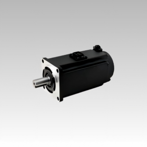 60mm 200W 220V 3000rpm AC Servo Motor